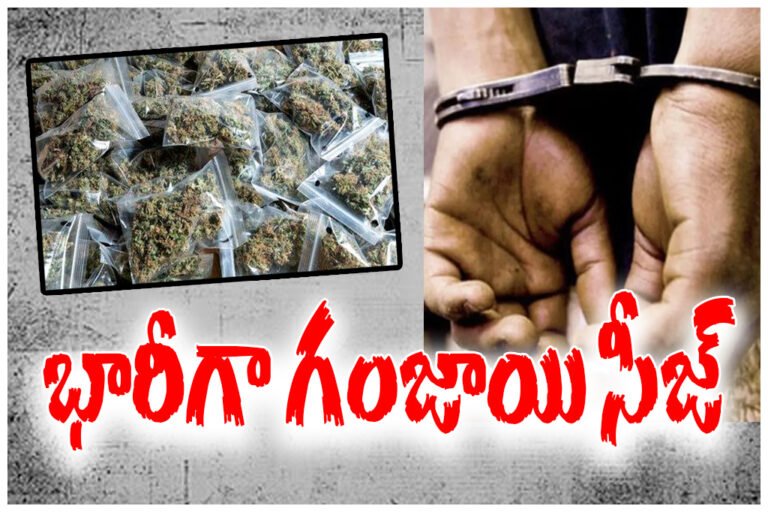 Bhadradri Kothagudem ganja seizure
