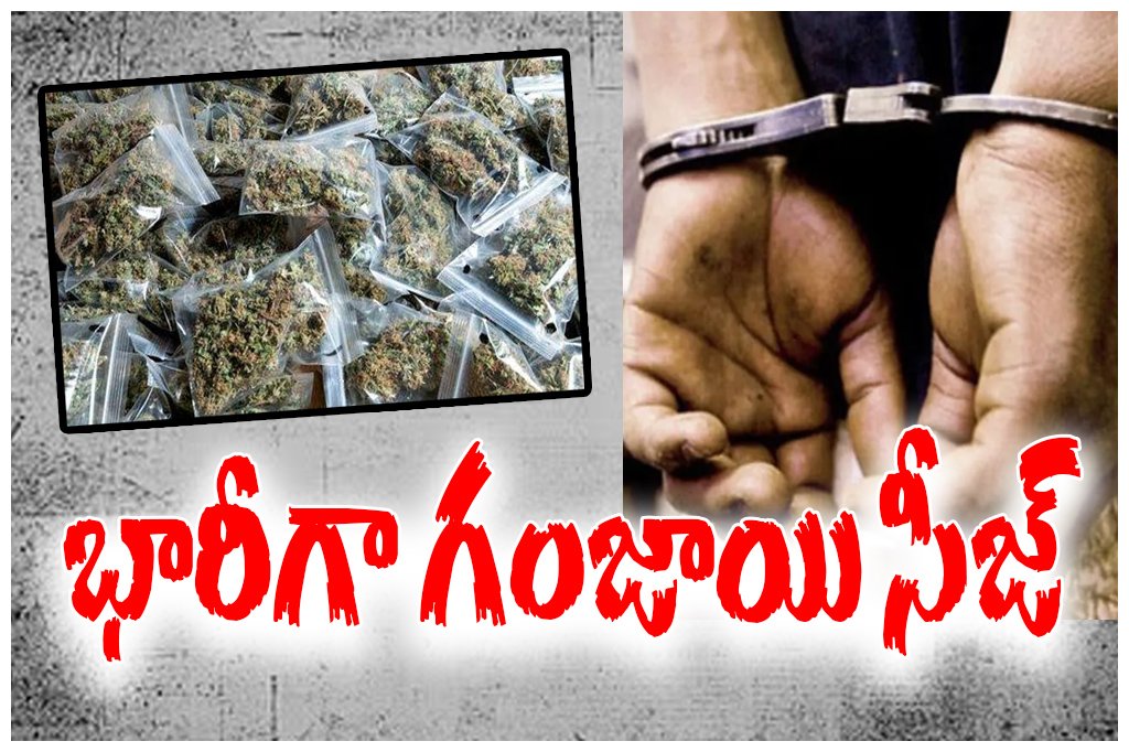 Bhadradri Kothagudem ganja seizure