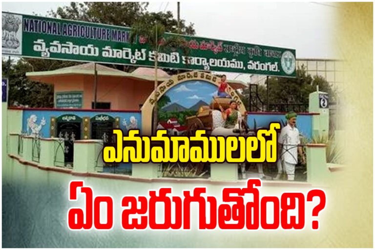 Warangal Enumamula market sees chilli price hit ₹20,100, but ₹3 crore trader fraud, protests and guard attack raise tension.