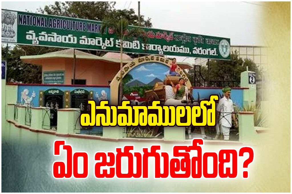 Warangal Enumamula market sees chilli price hit ₹20,100, but ₹3 crore trader fraud, protests and guard attack raise tension.