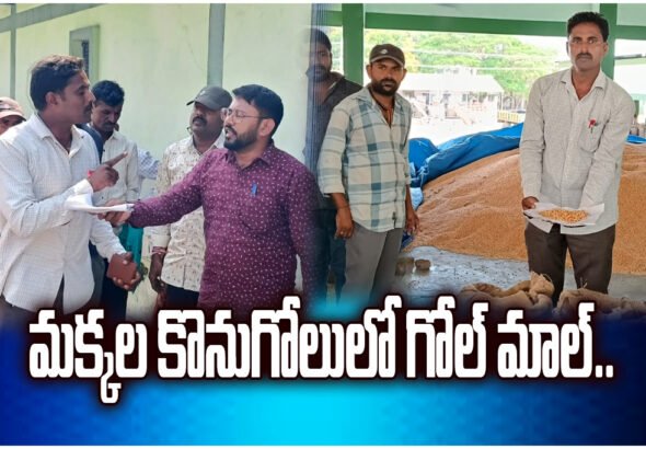 Farmers protest Markfed officials over maize purchase delays, alleging fungus excuses and heavy losses to them.