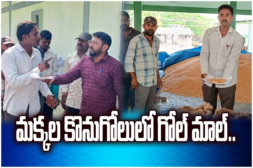 Farmers protest Markfed officials over maize purchase delays, alleging fungus excuses and heavy losses to them.