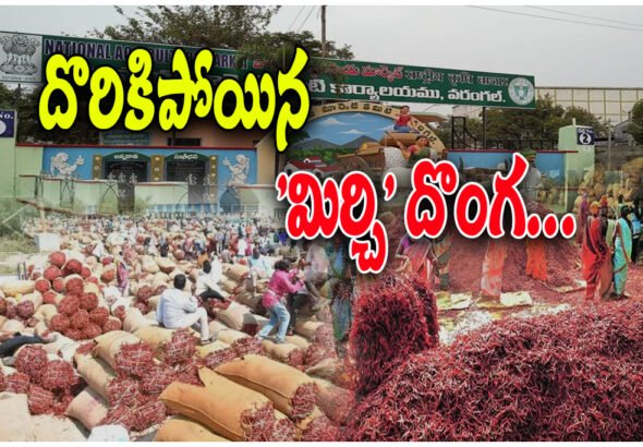 Warangal chilli trader fraud arrest