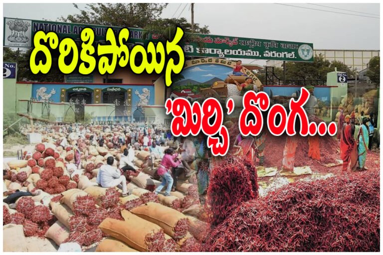 Warangal chilli trader fraud arrest