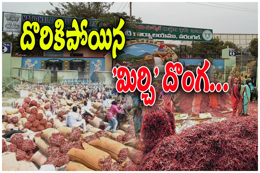 Warangal chilli trader fraud arrest