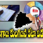 Telangana caste census data