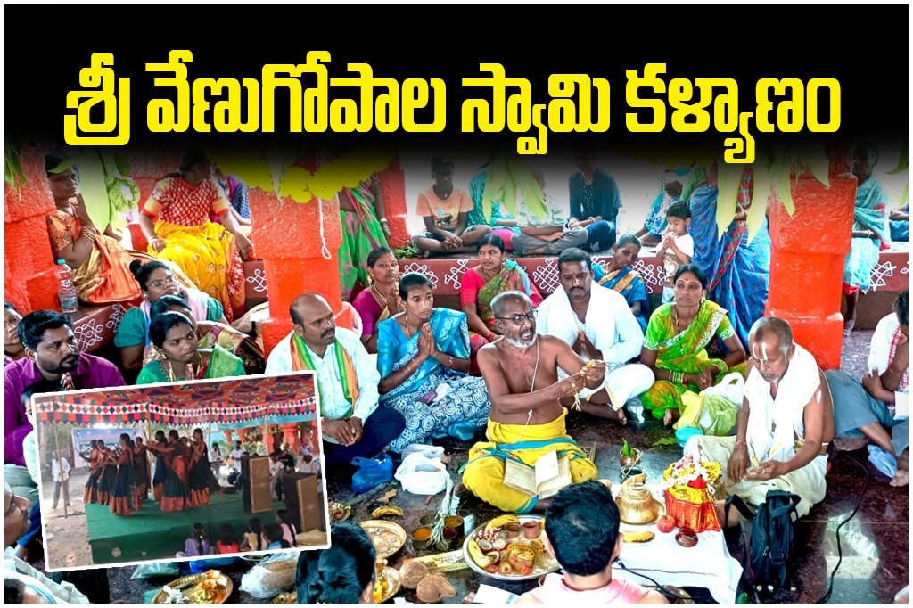 Sri Venugopala Swamy Kalyanam held grandly in Ippagudem with rituals, devotees participation and spiritual fervor.