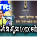 KAVITHA TRS party EC approval