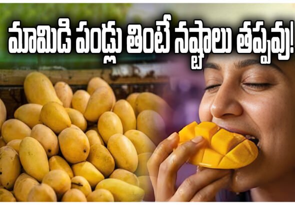 MANGO SUMMER HEALTH FITNESS