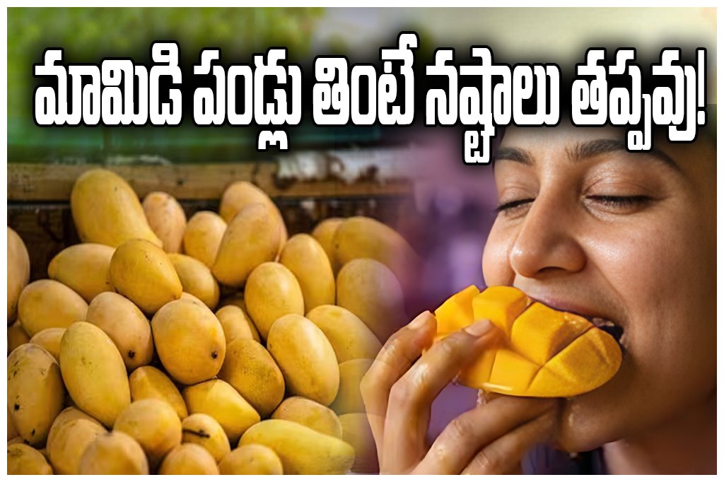 MANGO SUMMER HEALTH FITNESS