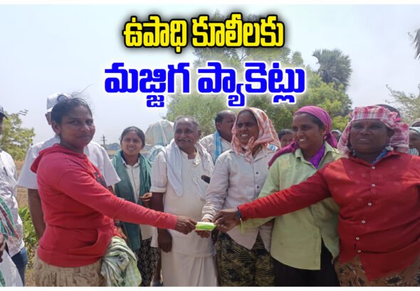 Buttermilk Distribution MGNREGA Workers