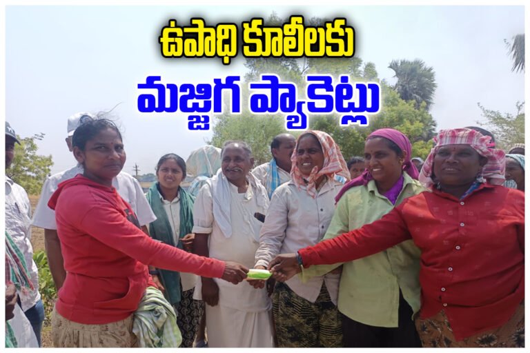 Buttermilk Distribution MGNREGA Workers