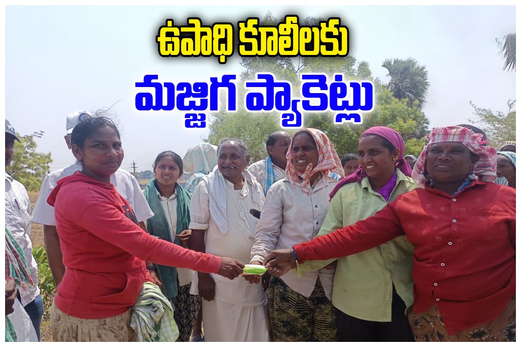 Buttermilk Distribution MGNREGA Workers