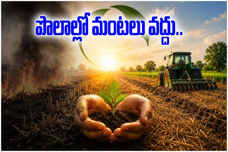 Dr.B Gopi (IAS) Crop Residue Burning Ban