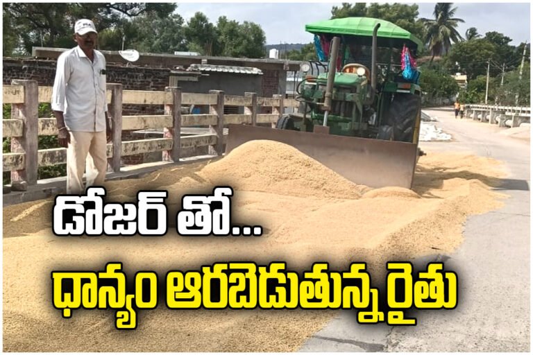 Farmer uses dozer for grain drying, reducing labor costs, saving time, and improving paddy handling efficiency.