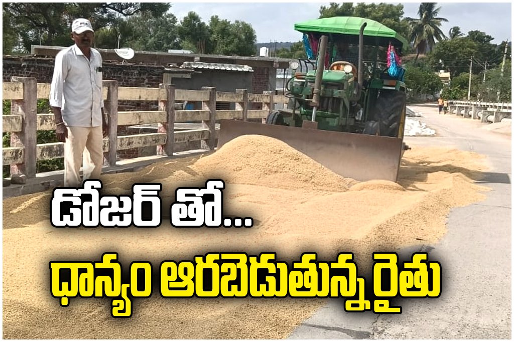 Farmer uses dozer for grain drying, reducing labor costs, saving time, and improving paddy handling efficiency.