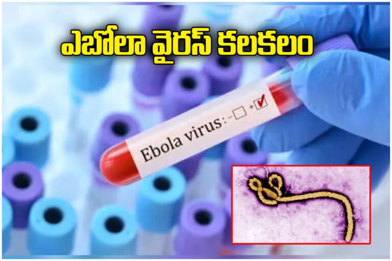 Ebola Virus Travel Advisory