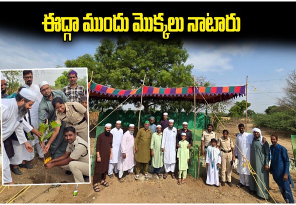 Bakrid Sapling Plantation Program