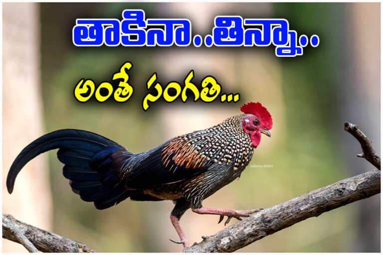 Grey Junglefowl Protection Law