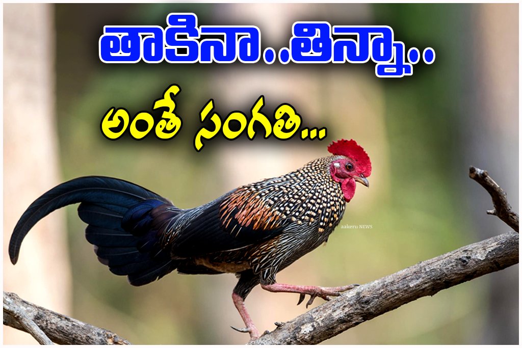 Grey Junglefowl Protection Law