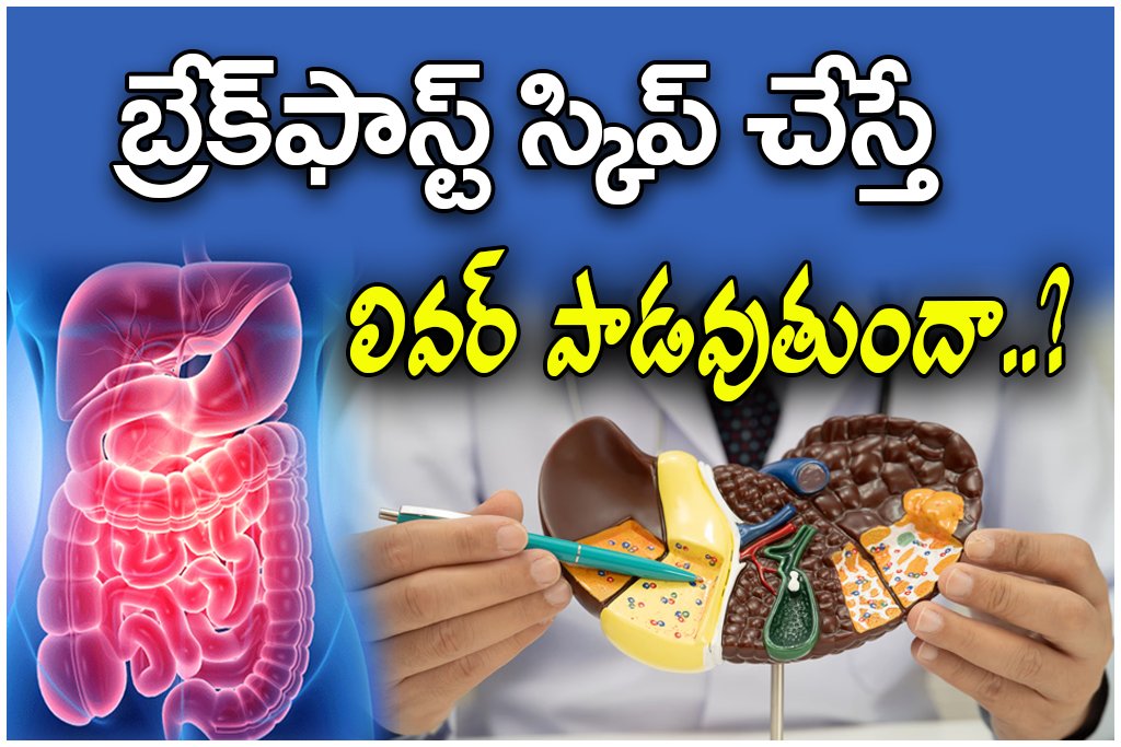 Breakfast Skipping Liver Risks
