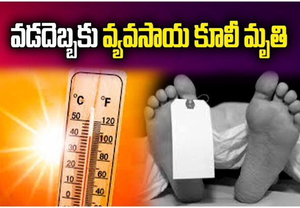 A woman farm worker died of suspected heatstroke while working in fields at Komatipalli village in Mulugu district.