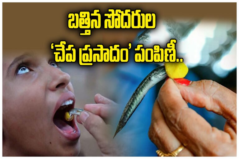 Hyderabad Fish Prasadam Distribution