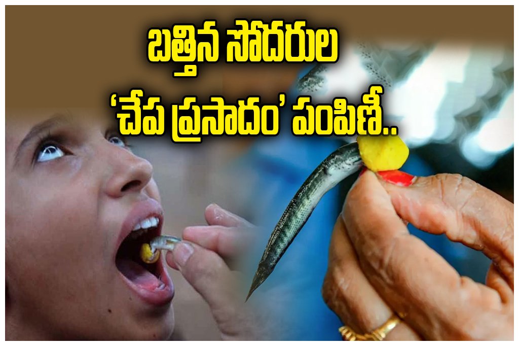 Hyderabad Fish Prasadam Distribution