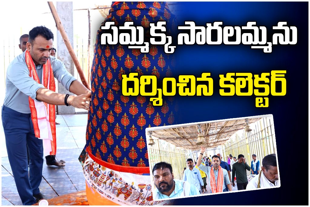 Mulugu Collector Hemanth Rao medaram Sammakka Saralamma Darshanam