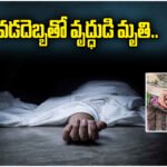 Old Man Heatstroke Death Katrapalli