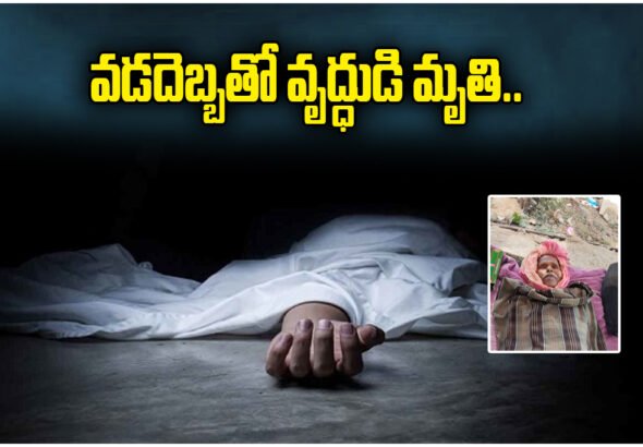Old Man Heatstroke Death Katrapalli