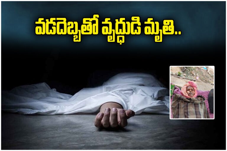 Old Man Heatstroke Death Katrapalli
