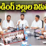 Palamuru Rangareddy Project Review