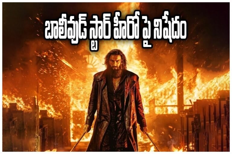 Actor Ranveer Singh Don 3 Controversy