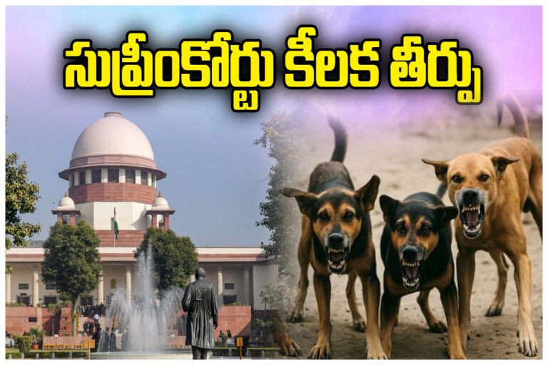 SUPREME COURT Verdict Stray Dogs