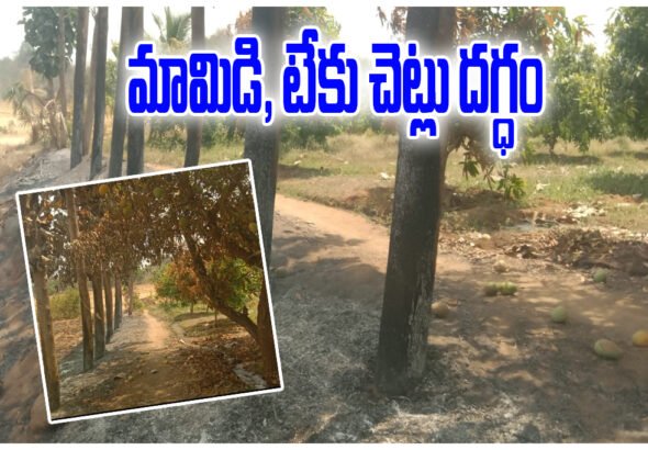 Station Ghanpur Tree Fire