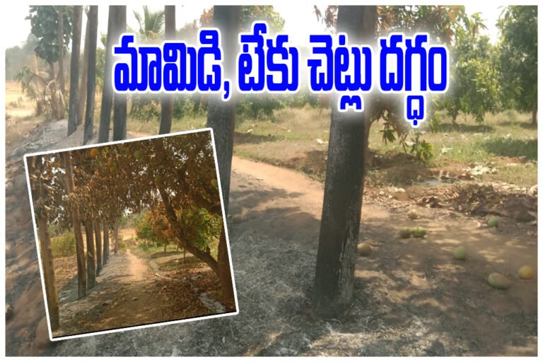 Station Ghanpur Tree Fire