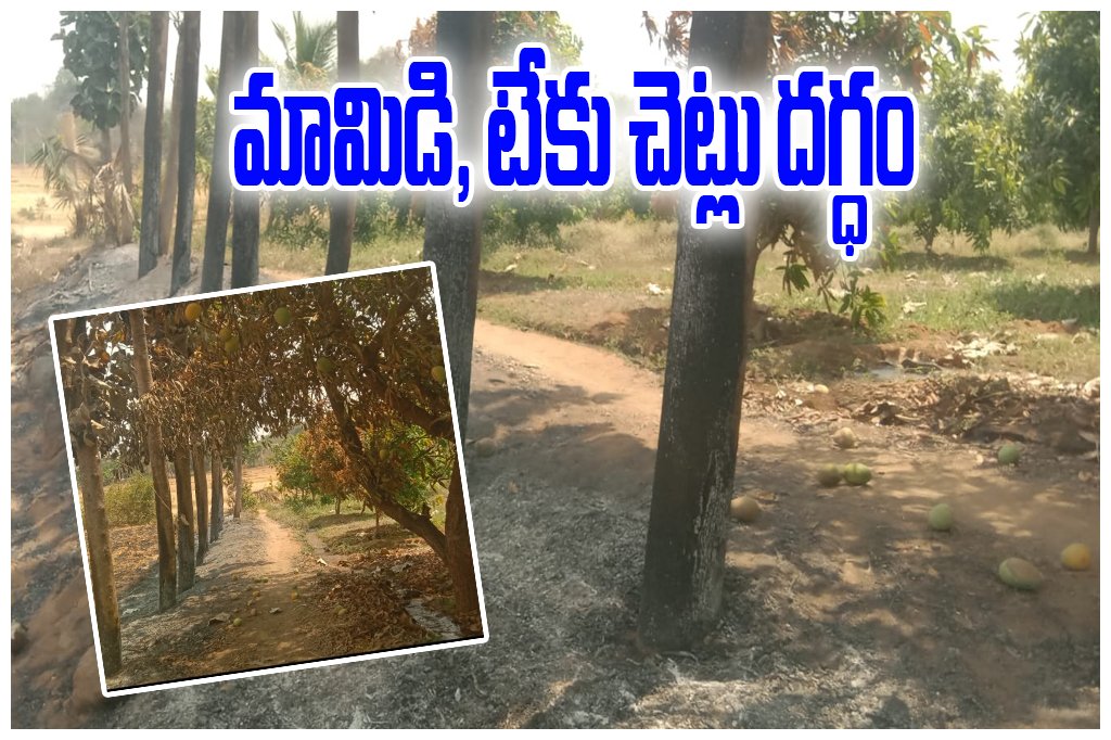 Station Ghanpur Tree Fire