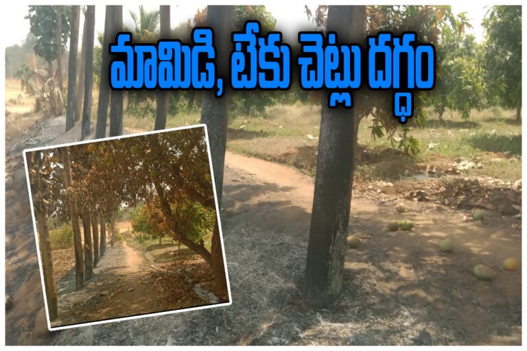 Station Ghanpur Tree Fire
