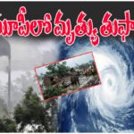 Uttar Pradesh Storm Devastation