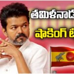 TVK chief Vijay denied chance to form government in Tamil Nadu as numbers fall short; DMK, AIADMK explore options.