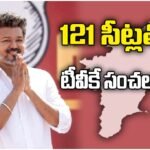 VIJAY TVK TAMILNADU GOVERNMENT