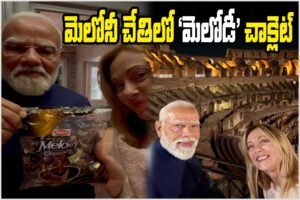 Modi Meloni Melody Chocolate