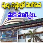 Indian Stock Market Loss