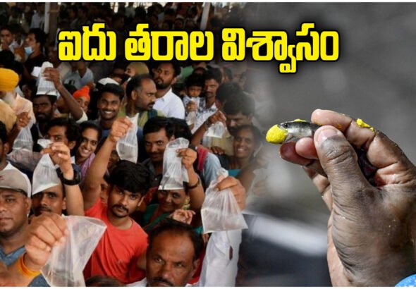 Bathini Fish Prasadam History