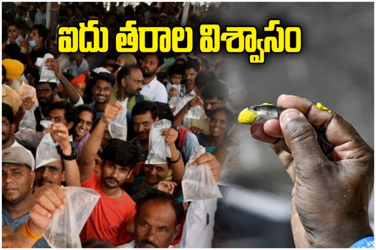 Bathini Fish Prasadam History