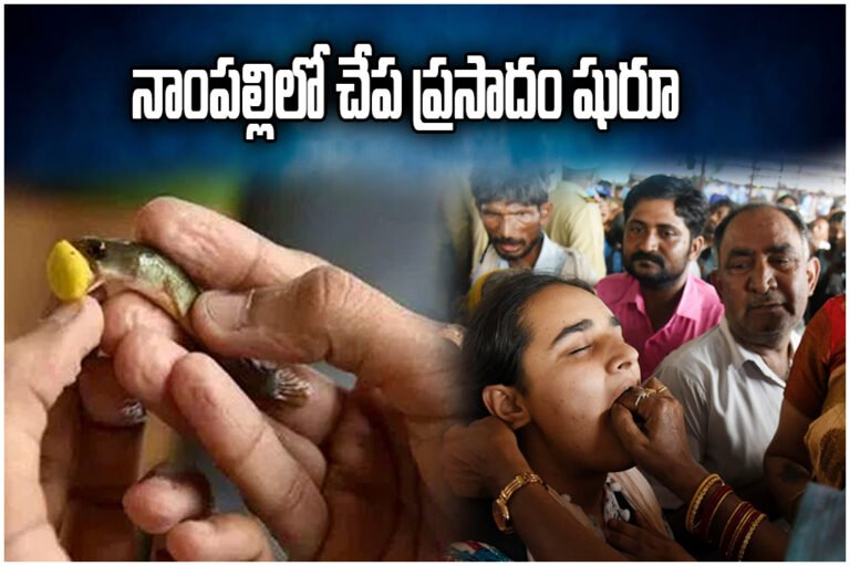 Bathini Fish Prasadam Hyderabad