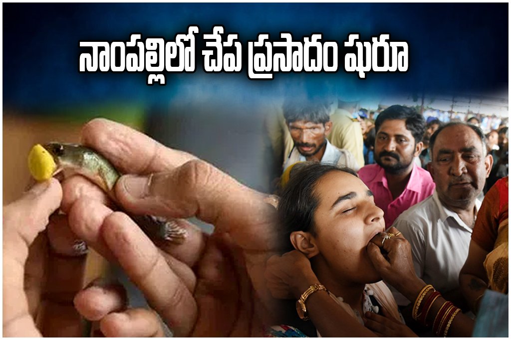 Bathini Fish Prasadam Hyderabad