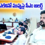 CM Revanth Reddy El Nino Review