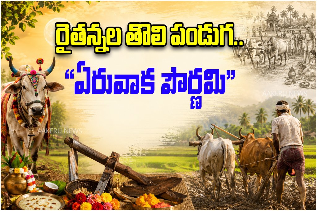 Eruvaka Pournami Significance and Farmer Festival